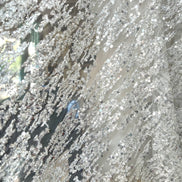 Silver Sequin and Beaded on White Tulle- 59” Wide (218)