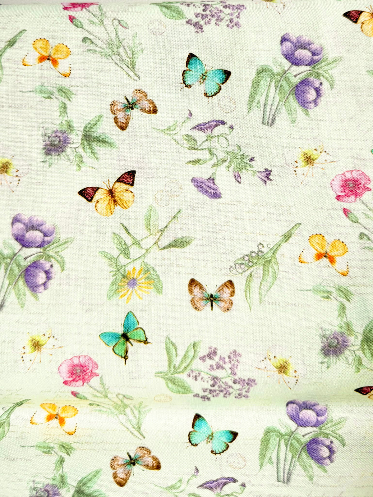 Butterflies, Florals 
