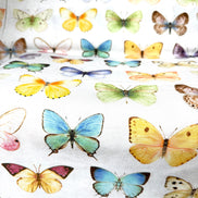 Butterflies 