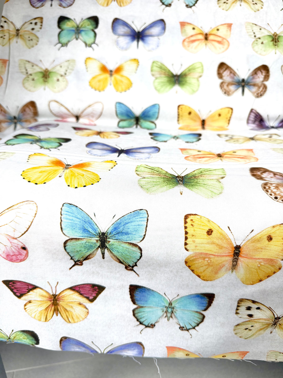 Butterflies 