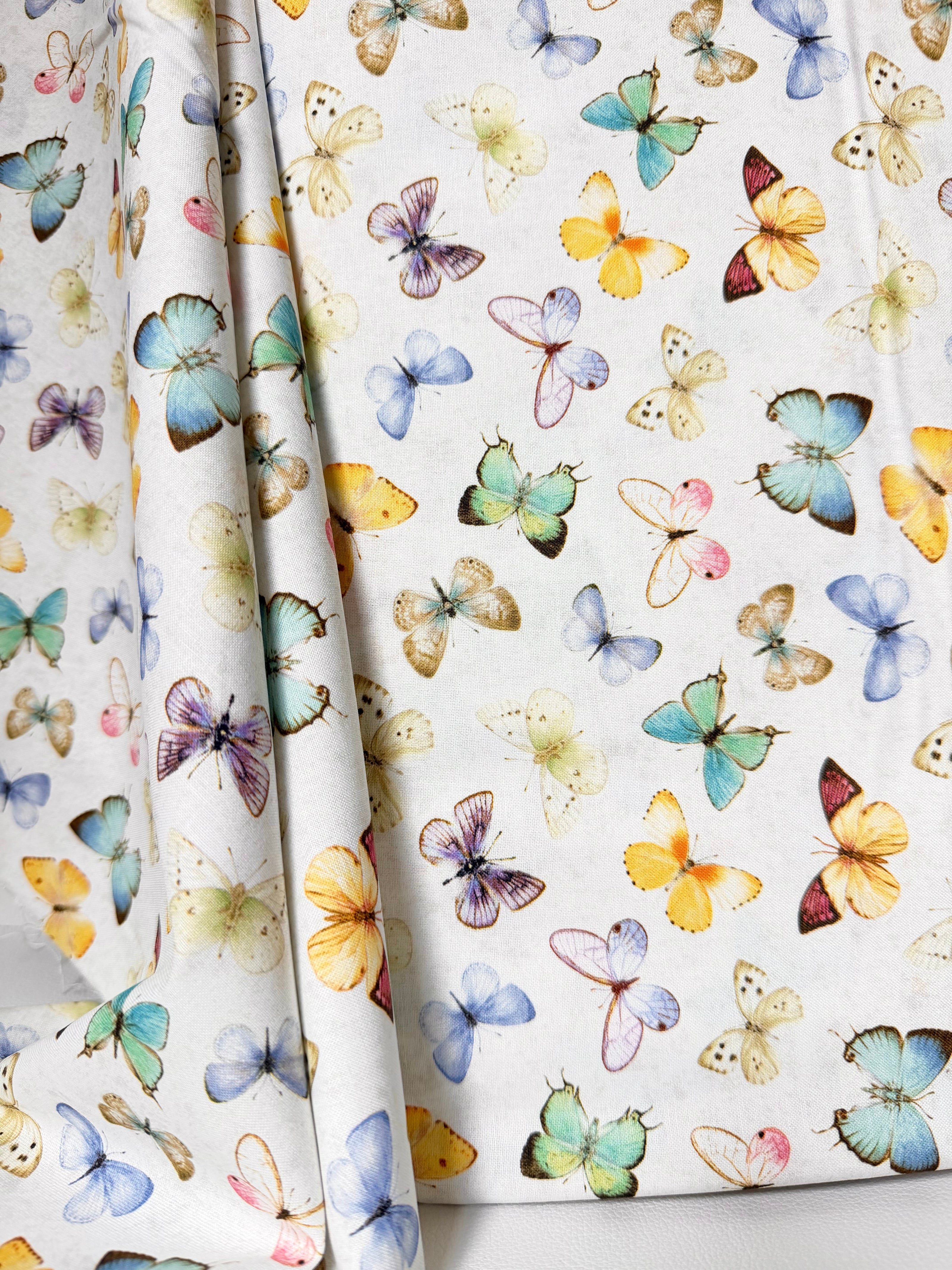 Butterflies 