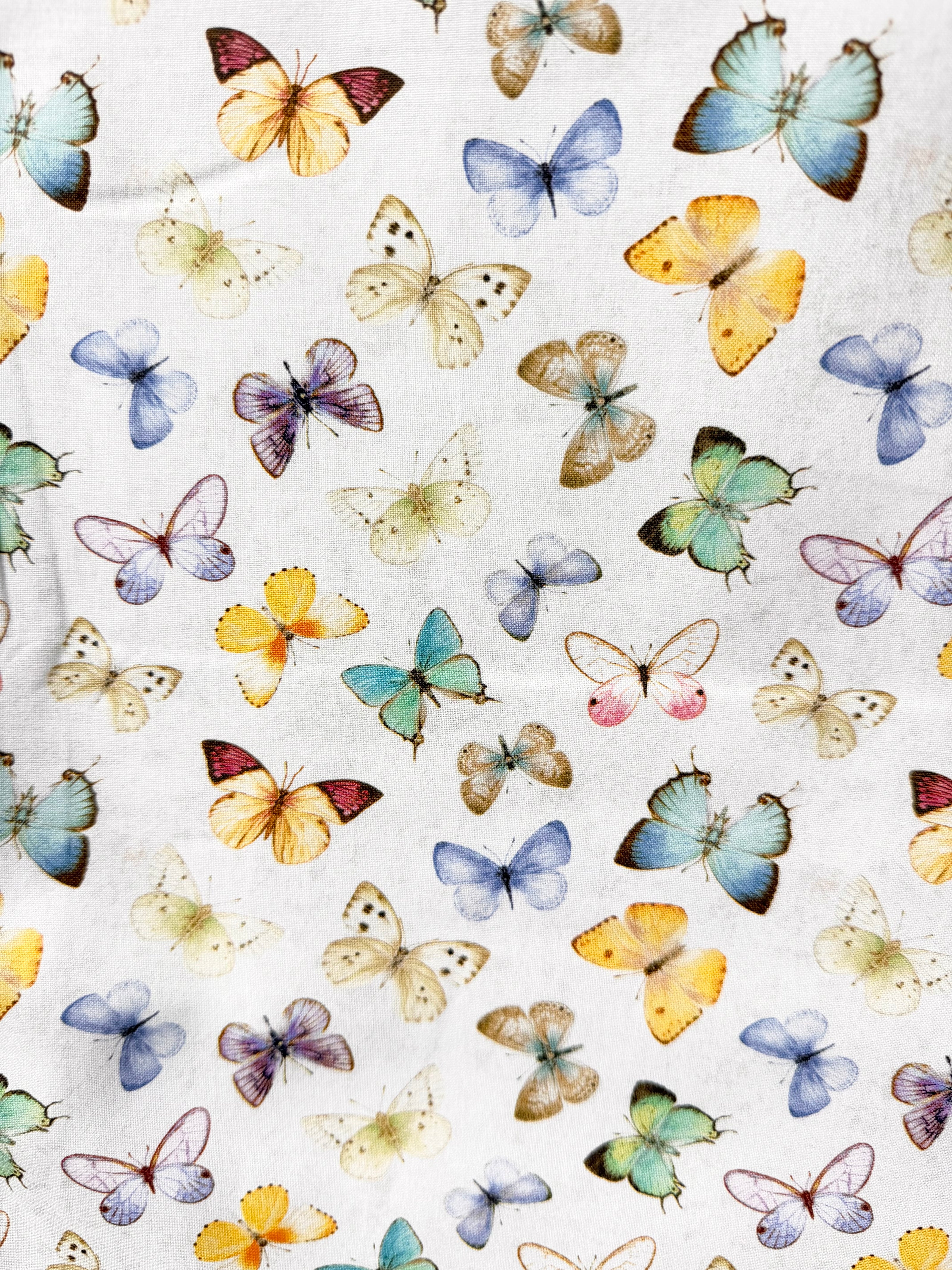 Butterflies 