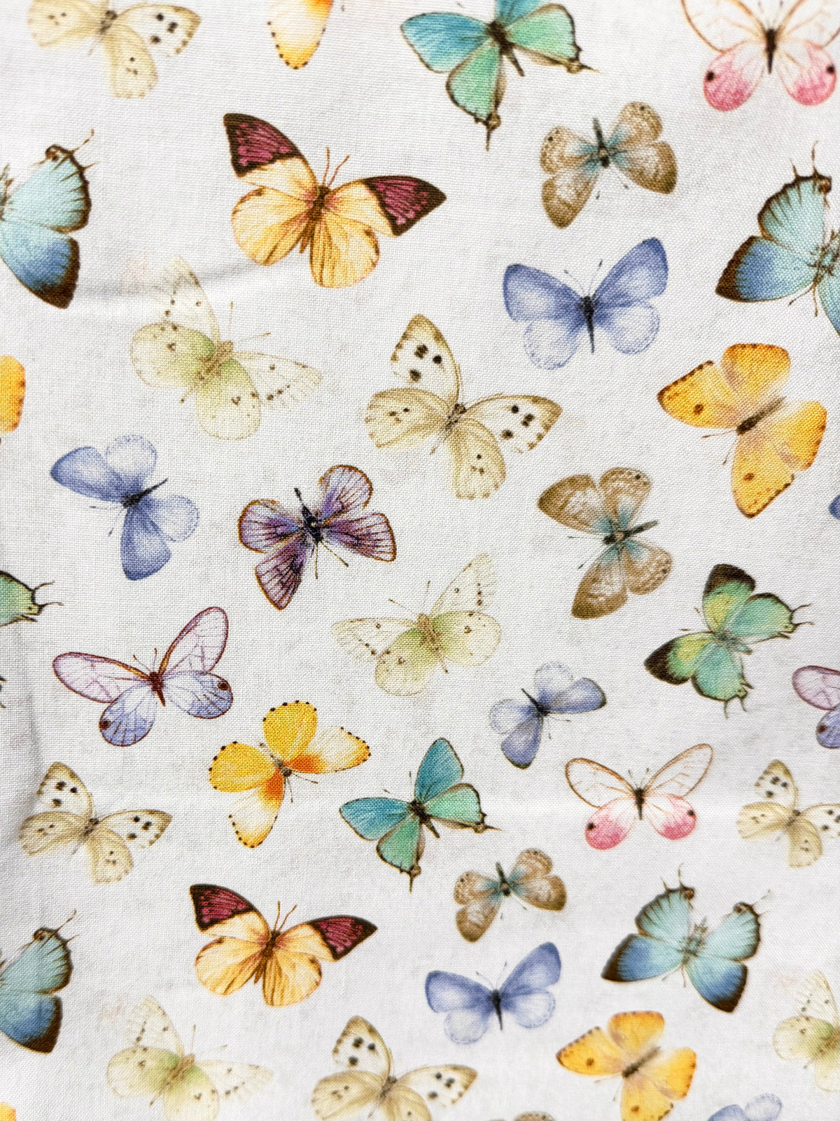 Butterflies 