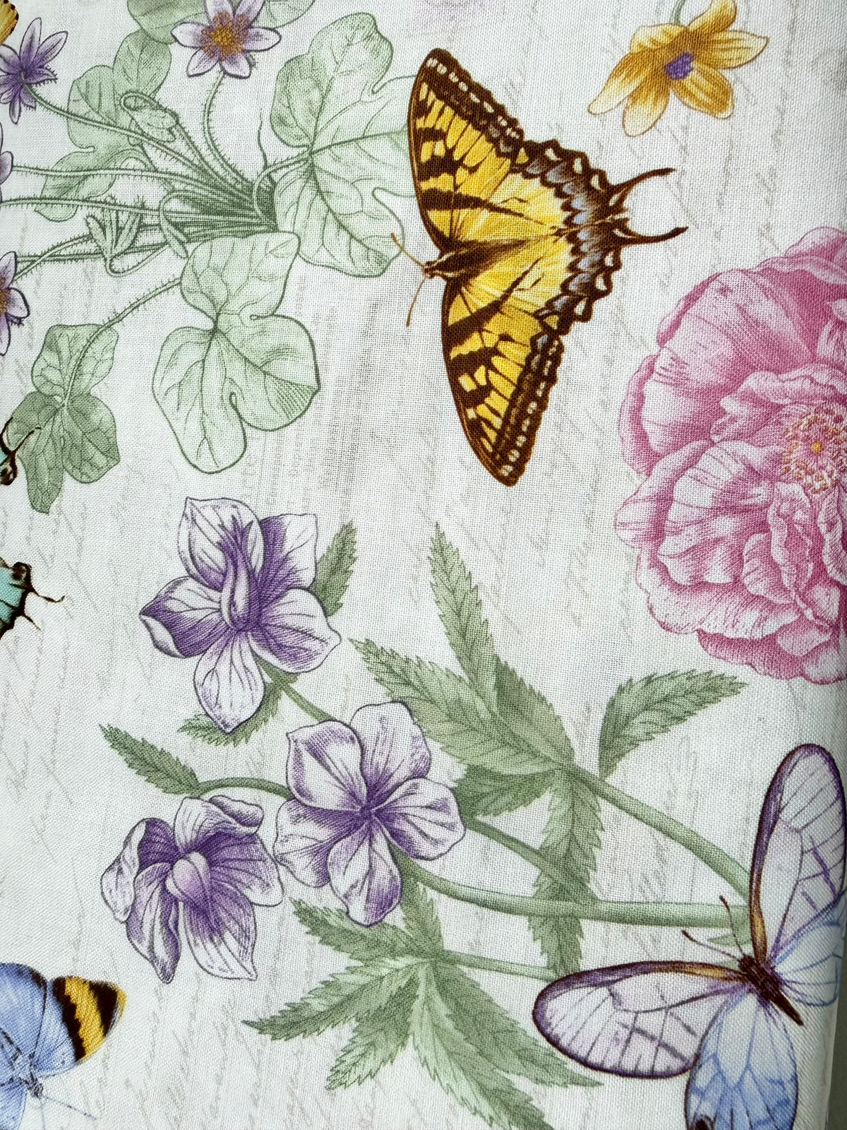 Butterflies, Florals 