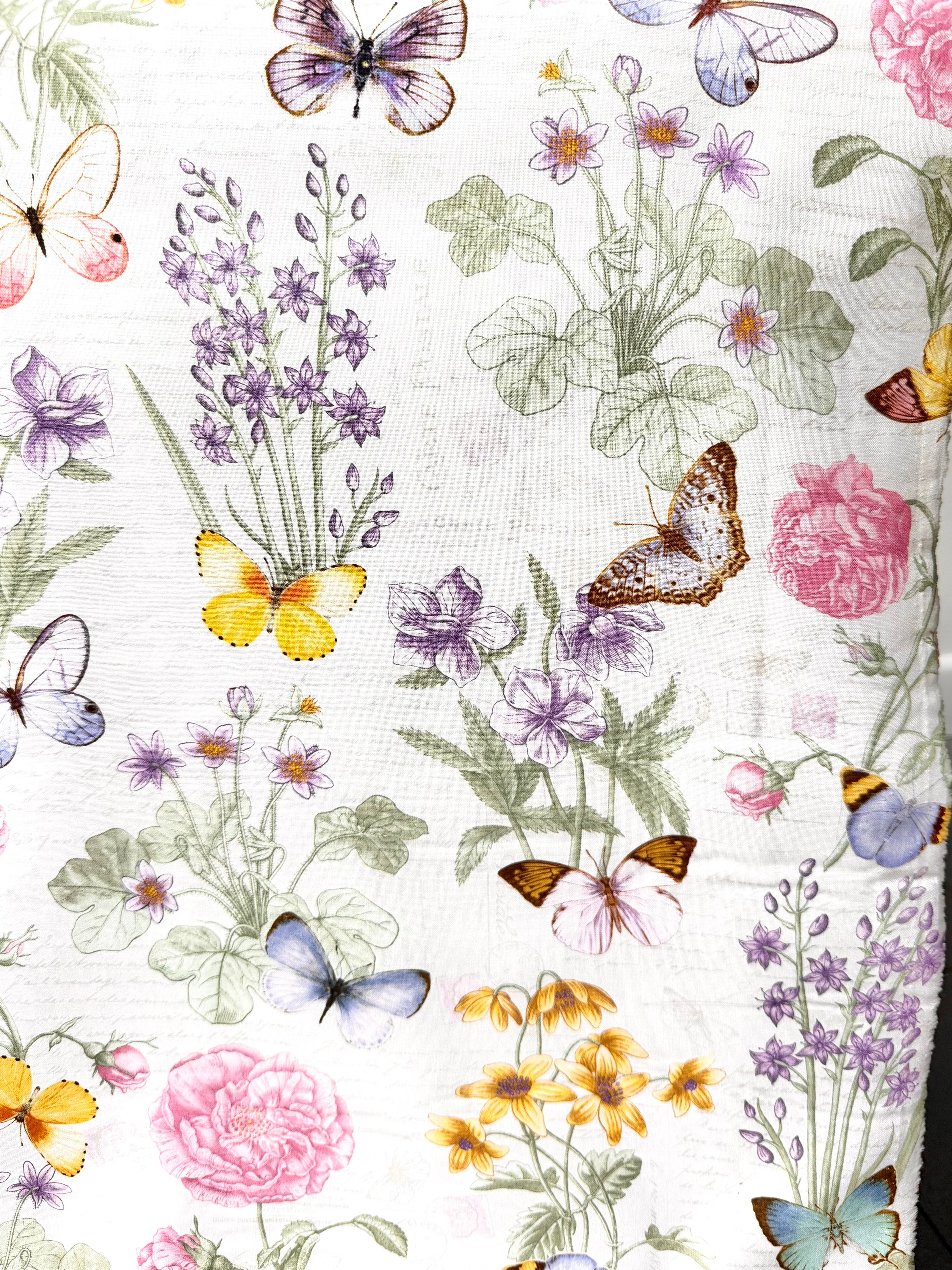 Butterflies, Florals 