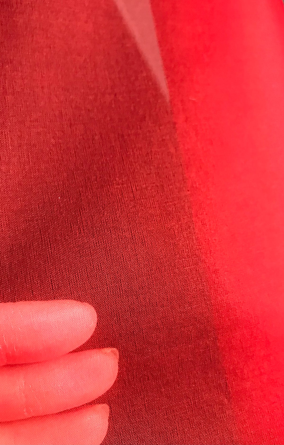 Red Silk Organza 54