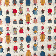 Colorful Bugs/ Insects on Ivory “Renewal