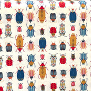 Colorful Bugs/ Insects on Ivory “Renewal
