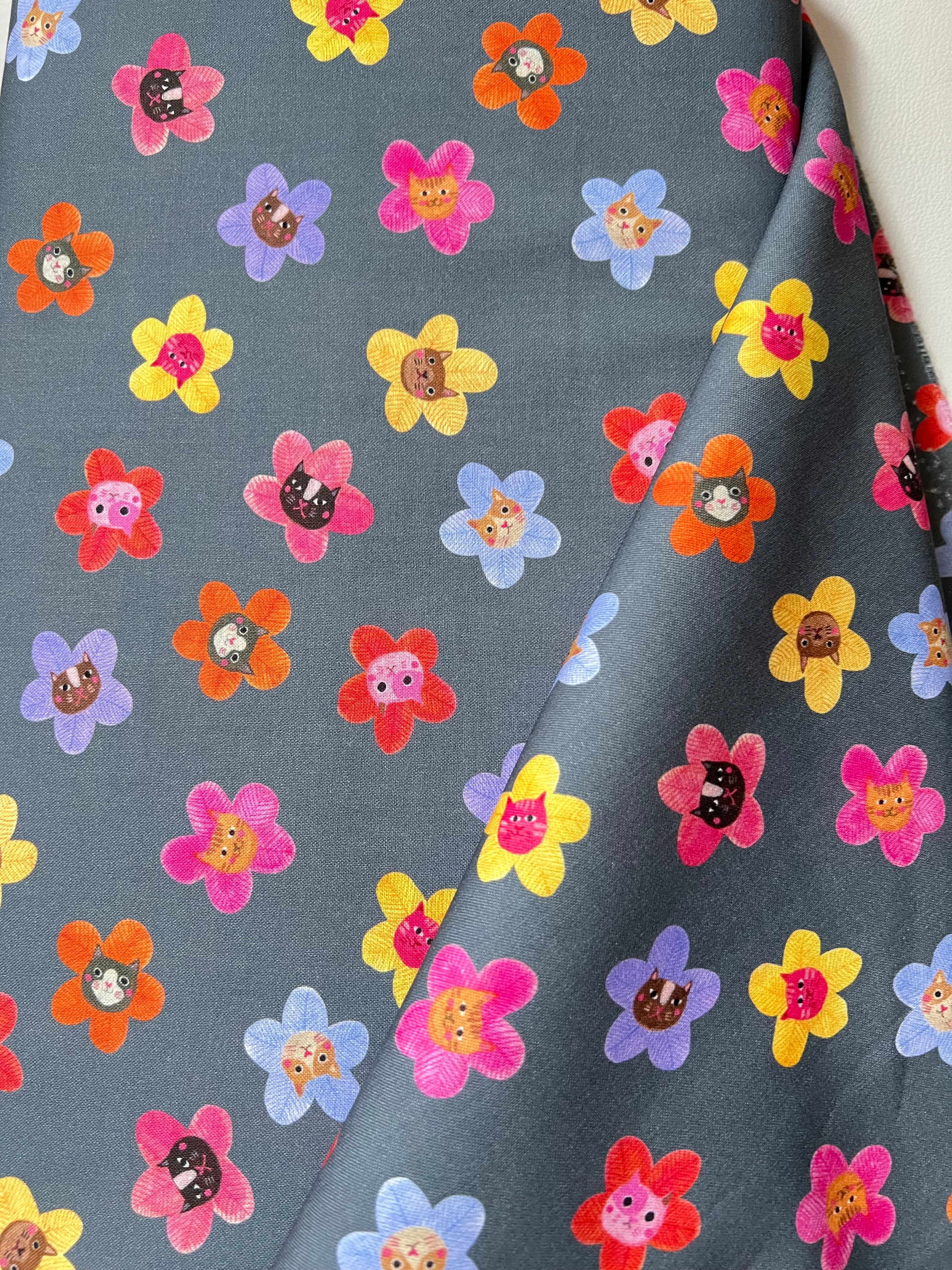 Colorful Cats and Flowers on Dark Gray- Whisker Wonderland- “Dolphin