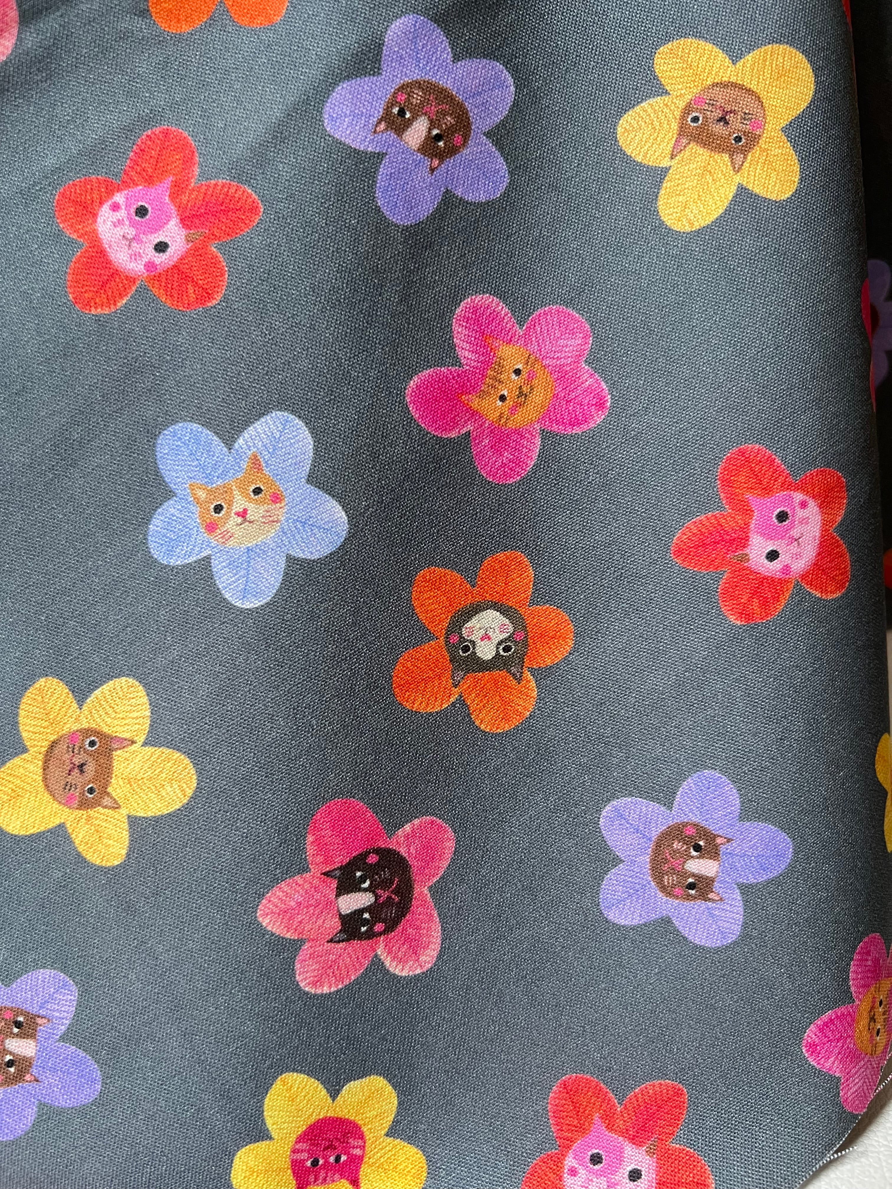 Colorful Cats and Flowers on Dark Gray- Whisker Wonderland- “Dolphin