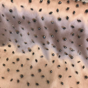 Cocoa/ Cafe au lait/ Light Brown Beaded Tulle- 39
