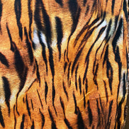 Tiger Print- “Animal Kingdom Wide Sateen”- Cotton Fabric- 108” Wide