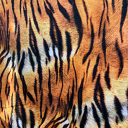 Tiger Print- “Animal Kingdom Wide Sateen”- Cotton Fabric- 108” Wide