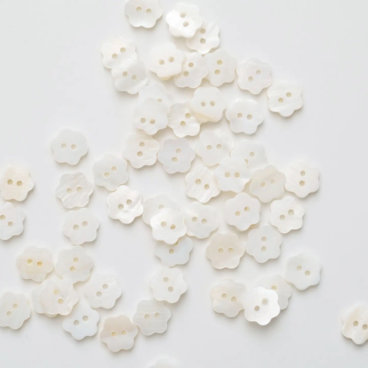 Flower Shaped Shell Buttons- Set of 12- Matchy Matchy