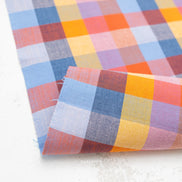 1 Inch Happy Checkers Cornucopia- Fine and Dandy- Fableism- Woven Cotton- 44