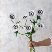 Crafting Paper Flowers - Emily Paluska - Book