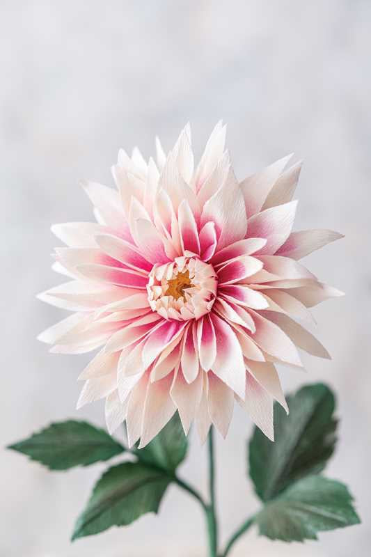 Crafting Paper Flowers - Emily Paluska - Book