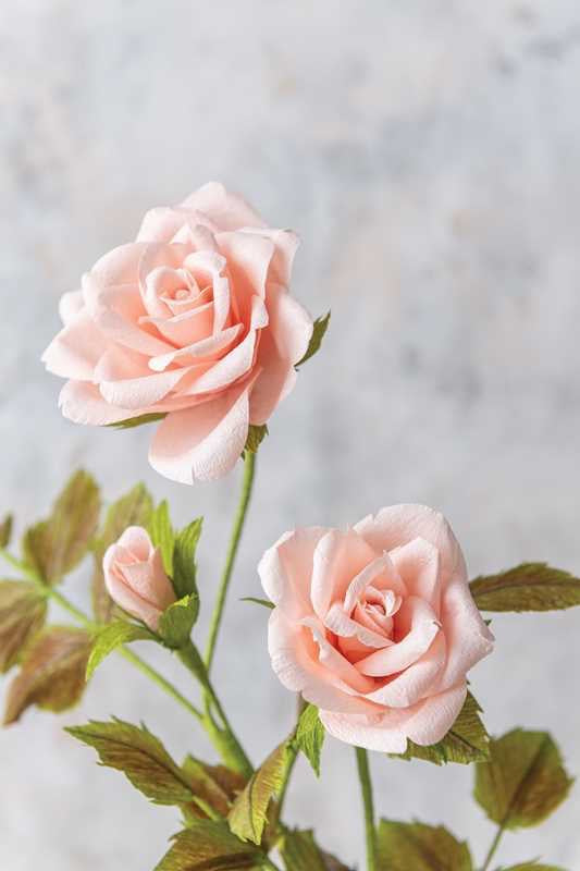 Crafting Paper Flowers - Emily Paluska - Book