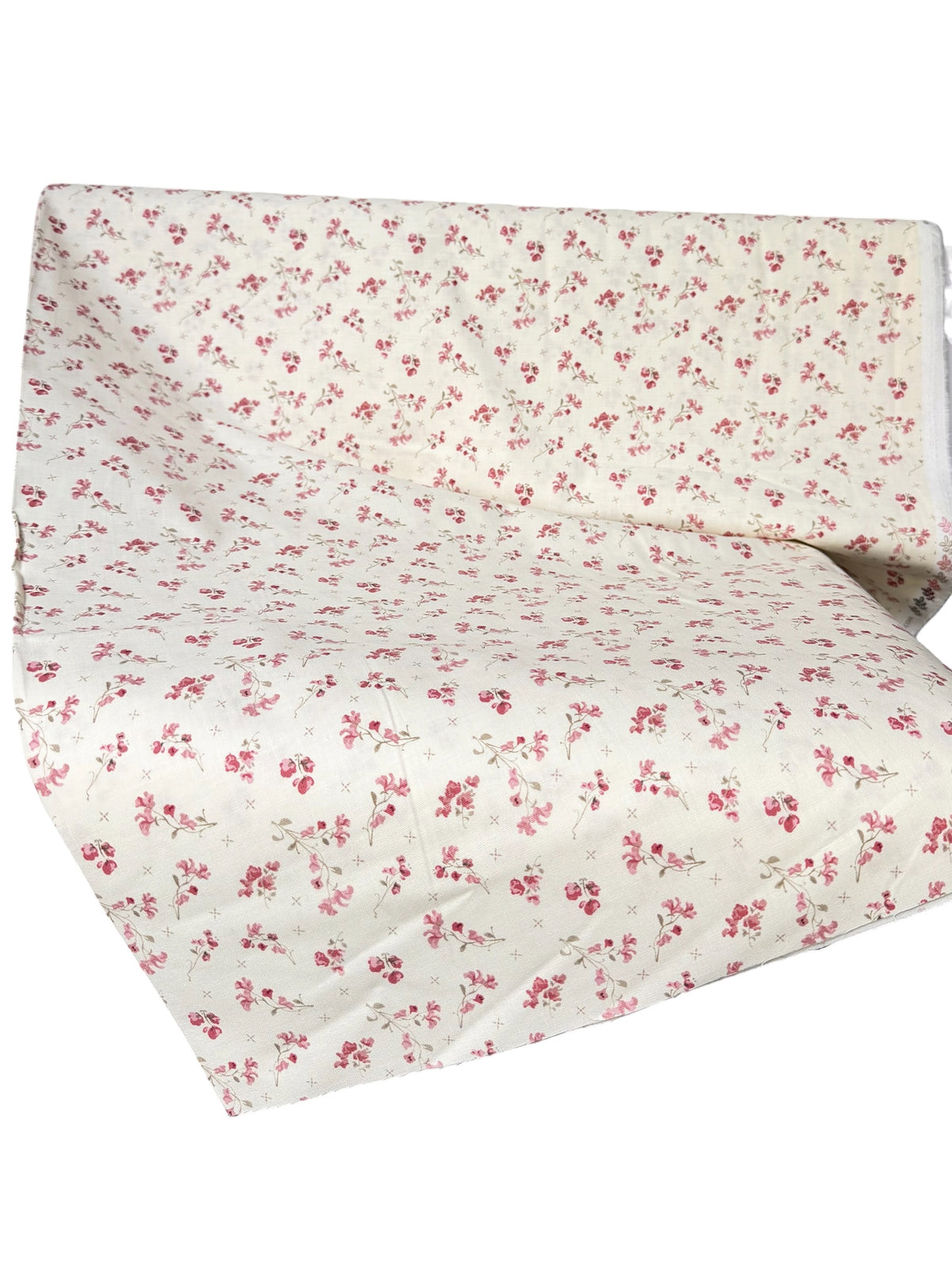 Renew Sweet Pea Latte- Cream- Floral- Cotton Fabric- 44