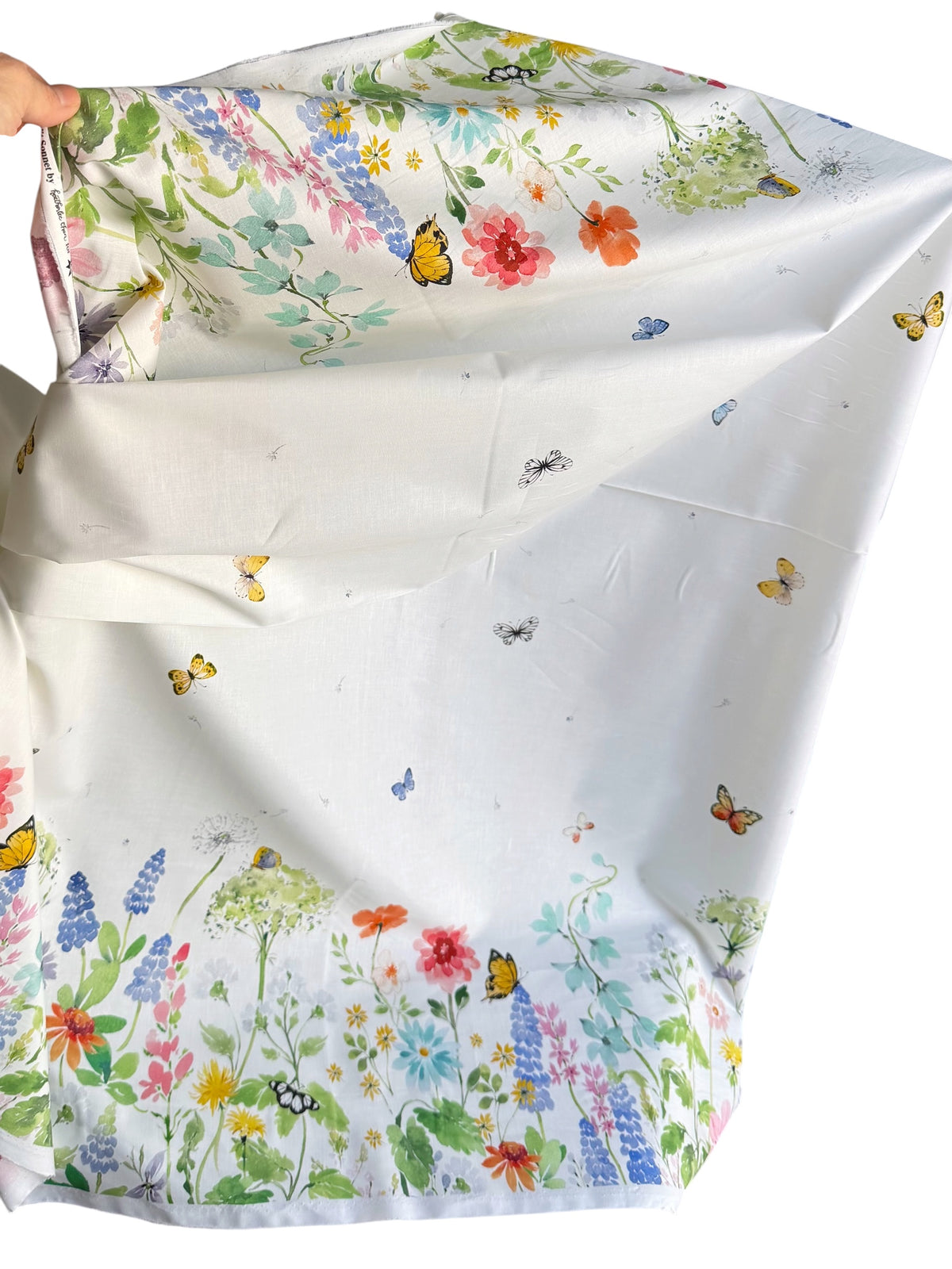 Sunlit Sonnet Butterfly Garden- Double Border- Cream- Cotton Fabric- 44